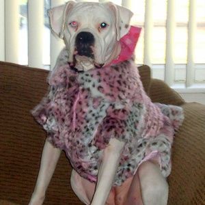 Meet your Posher, Jillian